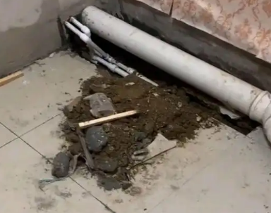 叠彩卫生间漏水检测哪家好